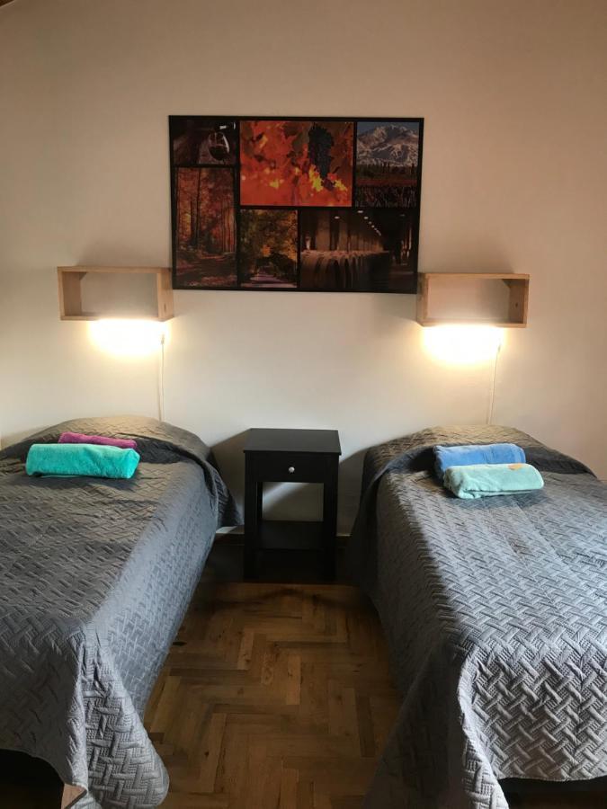 Mza Wine Apartment -Next To Aristides Street- First Class Mendoza Esterno foto